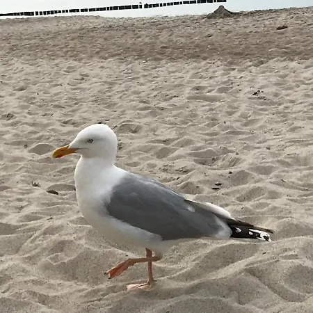 아파트 Graalresidenz 그랄뮈리츠